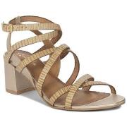 Sandaalit Maciejka  0696925005  36