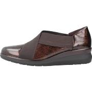 Kengät Pitillos  10733P  37