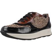 Kengät Pitillos  10902P  36