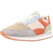 Tennarit HOFF  HASSELT  36