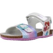 Tyttöjen sandaalit Geox  J ADRIEL GIRL A  37