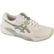 Fitness Asics  Gel-Challenger 15 Clay  42