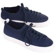 Kengät Gant  20539524G69  40