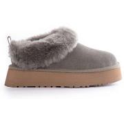 Kengät UGG  Tazzelle  36