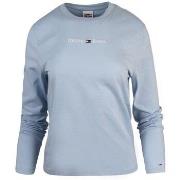 T-paidat pitkillä hihoilla Tommy Hilfiger  DW0DW14363C1Q  EU XL