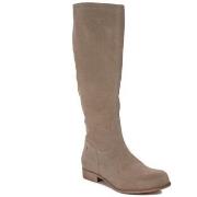 Saappaat Maciejka  3532S04005  37