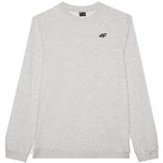 Svetari 4F  M1767CHODNYJASNYSZARYMELAN  EU XXL