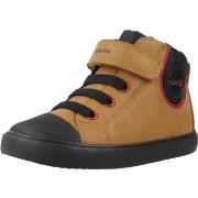 Lastenkengät Geox  B GISLI  20