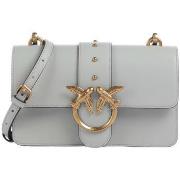 Olkalaukut Pinko  LOVE ONE MINI 105856 A0F1  Yksi Koko