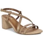 Tennarit Maciejka  0665304000  37