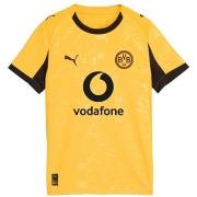 Lyhythihainen t-paita Puma  Bvb Home  EU XXL
