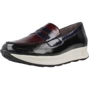 Kengät Pitillos  10901P  38