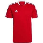 Lyhythihainen t-paita adidas  Tiro 21  EU XXL