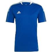 Lyhythihainen t-paita adidas  Tiro 21  EU S