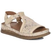 Sandaalit Maciejka  L706504001  37