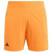Shortsit & Bermuda-shortsit adidas  Ergo  EU L
