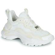 Kengät Steve Madden  MANERVA  40