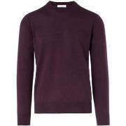 Neulepusero Paolo Pecora  -  IT M