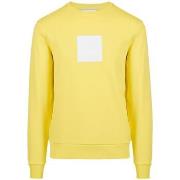 Svetari Iceberg  -  IT L