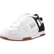 Kengät DC Shoes  STAG  42