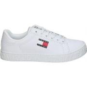 Kengät Tommy Hilfiger  EN0EN02703YBS  39