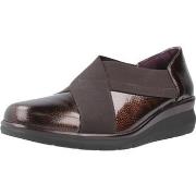 Kengät Pitillos  10733P  37