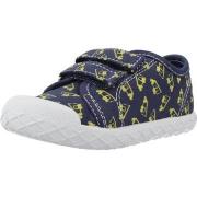 Lastenkengät Chicco  CAMBRIDGE 2  25