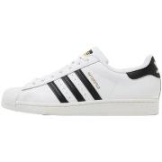 Kengät adidas  Superstar White Black  37 1/3