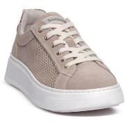 Kengät NeroGiardini  615273677  37