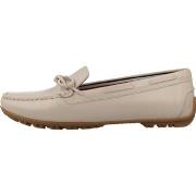 Kengät Geox  D KOSMOPOLIS  37