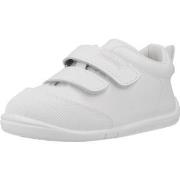 Tennarit Titanitos  B500 ORSO  19