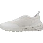 Kengät Geox  D ACTIVART  36