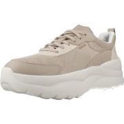 Kengät Geox  D XTORS  37