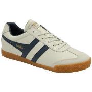 Kengät Gola  Harrier Leder 2024  41