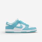 Kengät Nike  Dunk Low Next Nature Dusty Cactus (Women's)  44 1/2