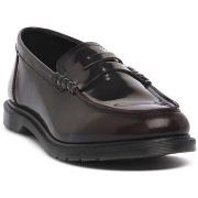 Kengät Dr. Martens  42847600  41