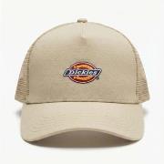 Lippalakit Dickies  DK0A4YV3L441  Yksi Koko