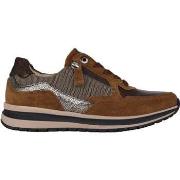 Kengät Gabor  76.318.15  37