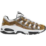 Tennarit Puma  Cell Endura Animal Kingdom  37
