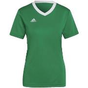Uimapuvut adidas  Entrada 22  EU S