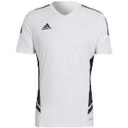 Lyhythihainen t-paita adidas  T-shirt  Condivo 22  EU M