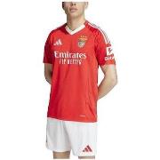 Lyhythihainen t-paita adidas  T-shirt  Benfica 24/25 rouge  EU M