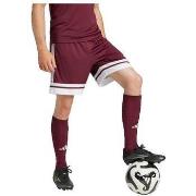 Shortsit & Bermuda-shortsit adidas  Short  Squadra 25 Bordeaux  EU S