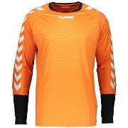 T-paidat pitkillä hihoilla hummel  Maillot  Essential GK Jersey  EU S