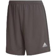 Shortsit & Bermuda-shortsit adidas  Short  Entrada 22  EU S
