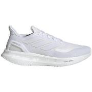 Kengät adidas  Chaussures de running  Pureboost 5  42