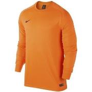 T-paidat pitkillä hihoilla Nike  Park Goalie II Jsy  EU M