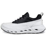 Kengät Ecco  Biom 720 GTX  42