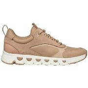 Kengät Geox  Baskets  D Spherica Ecub-4 A beige  36