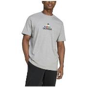 Lyhythihainen t-paita adidas  T-shirt  House Of Tiro Nations gris  EU ...